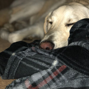 Meet your Posher, Courtaney